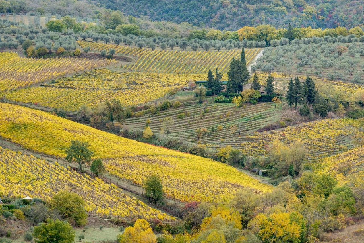 Bed and Breakfast Terre Di Baccio Greve in Chianti Zewnętrze zdjęcie