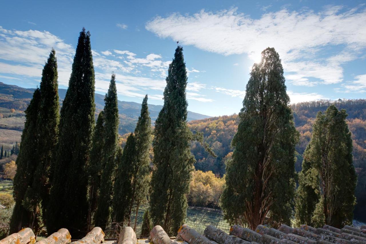 Bed and Breakfast Terre Di Baccio Greve in Chianti Zewnętrze zdjęcie