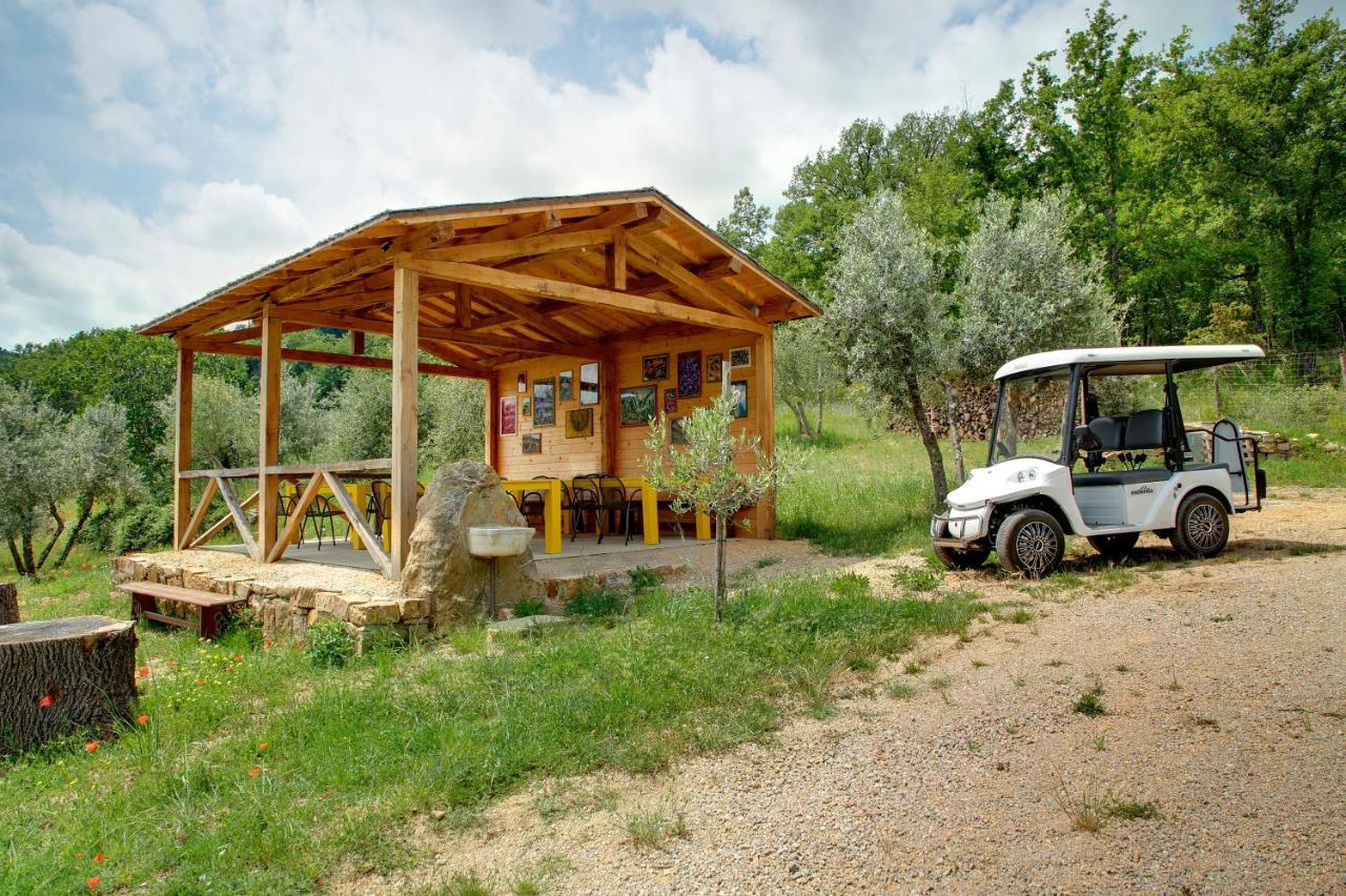 Bed and Breakfast Terre Di Baccio Greve in Chianti Zewnętrze zdjęcie