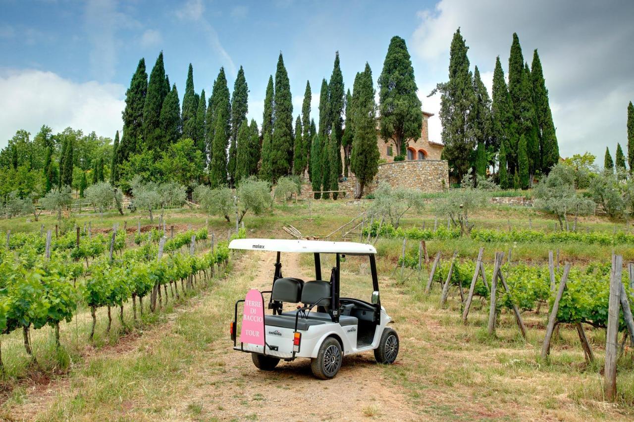 Bed and Breakfast Terre Di Baccio Greve in Chianti Zewnętrze zdjęcie