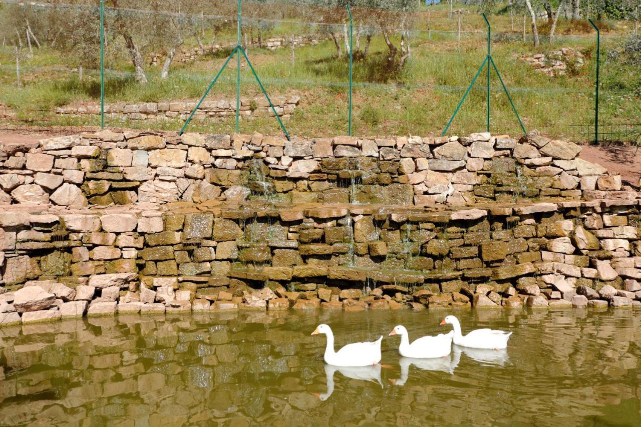 Bed and Breakfast Terre Di Baccio Greve in Chianti Zewnętrze zdjęcie