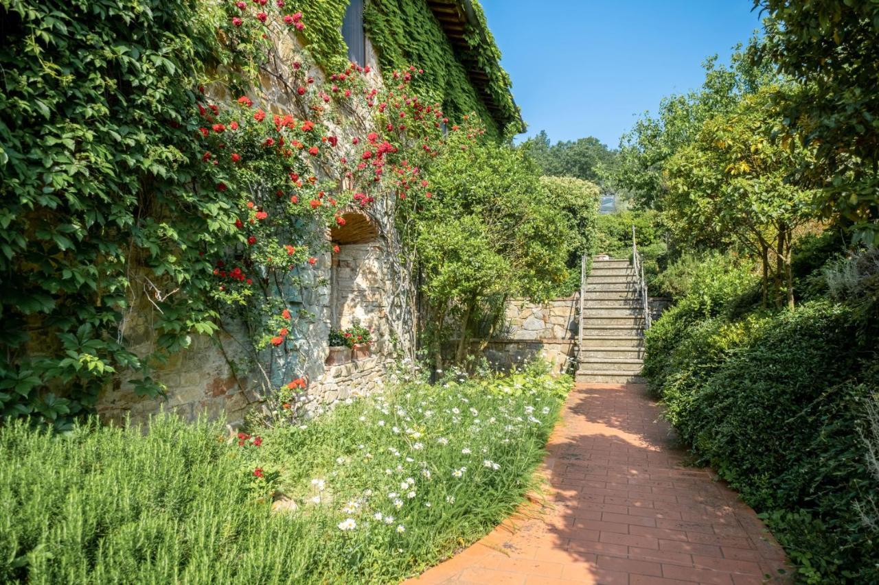 Bed and Breakfast Terre Di Baccio Greve in Chianti Zewnętrze zdjęcie