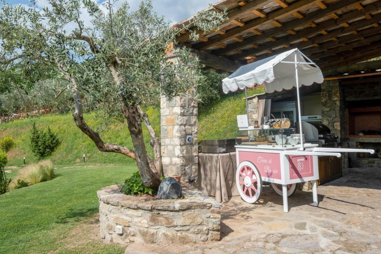 Bed and Breakfast Terre Di Baccio Greve in Chianti Zewnętrze zdjęcie